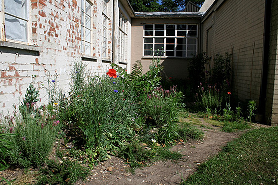Herb Garden, at Department of Art, UOR, 10mx3mx7m, 2006 © Kate Corder